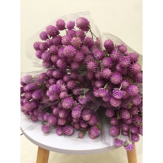 第2頁千日紅乾燥花的價格推薦 21年7月 比價撿便宜