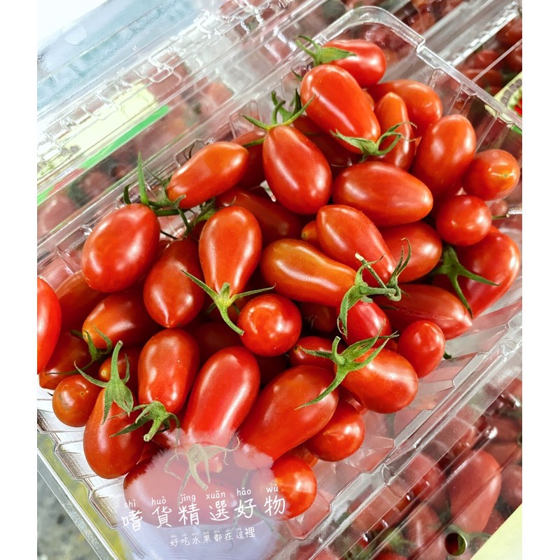 玉女 批發價17斤📢全台免運 聖女番茄 溫室玉女蕃茄  416番茄 橙香蜜蕃茄美濃橙蜜香番茄 小女番茄