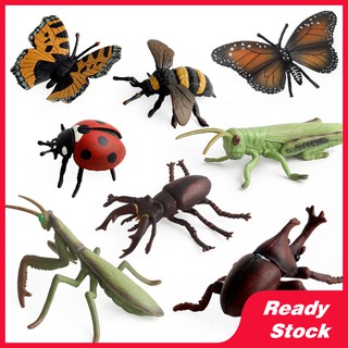 仿真昆蟲模型動物佈置沙盤場景教育兒童認知動物模型