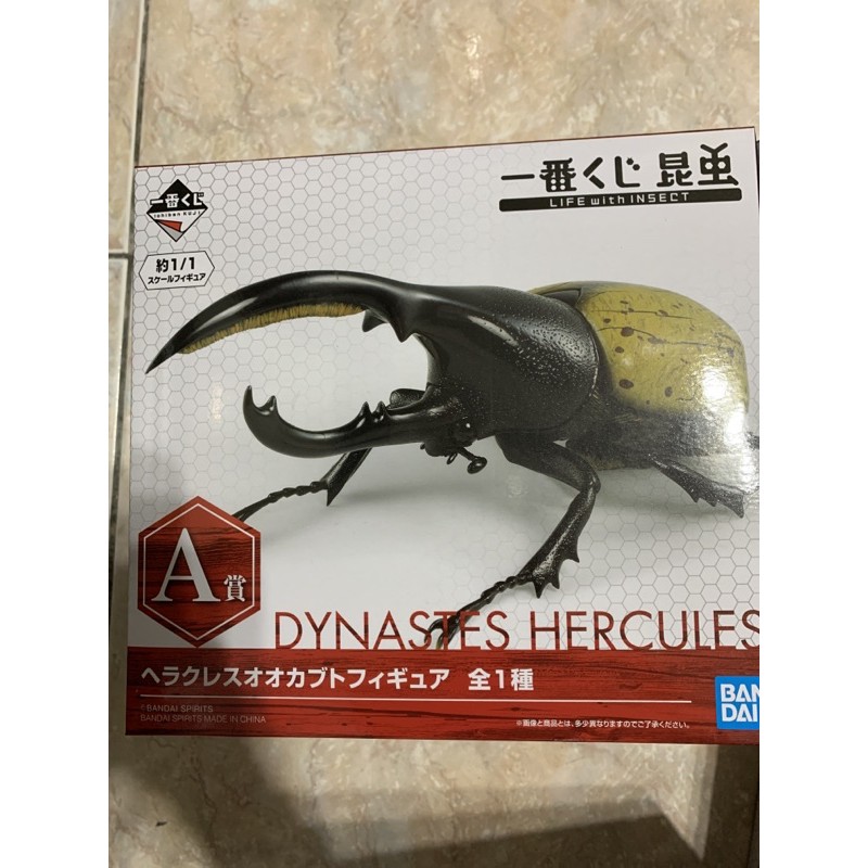 現貨一番賞昆蟲甲蟲a賞b賞c賞最後賞赫克力士獨角仙長角金龜鍬形蟲昆蟲模型公仔玩具擬真 蝦皮購物