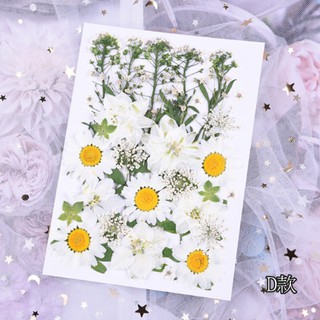 🚀臺灣出貨【小陶器手作素材】乾花壓花材料包永生花DIY手工乾花相框筆記本手機殼滴膠