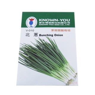 農友 北蔥 (Bunching Onion) - 蔬菜種子