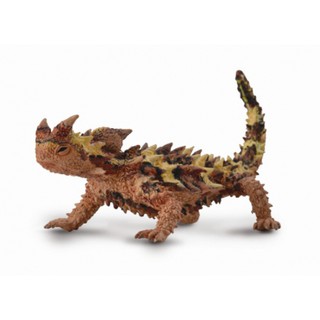 「芃芃玩具」COLLECTA 動物模型 R88753 棘蜥 模擬 教材 教學 貨號88753