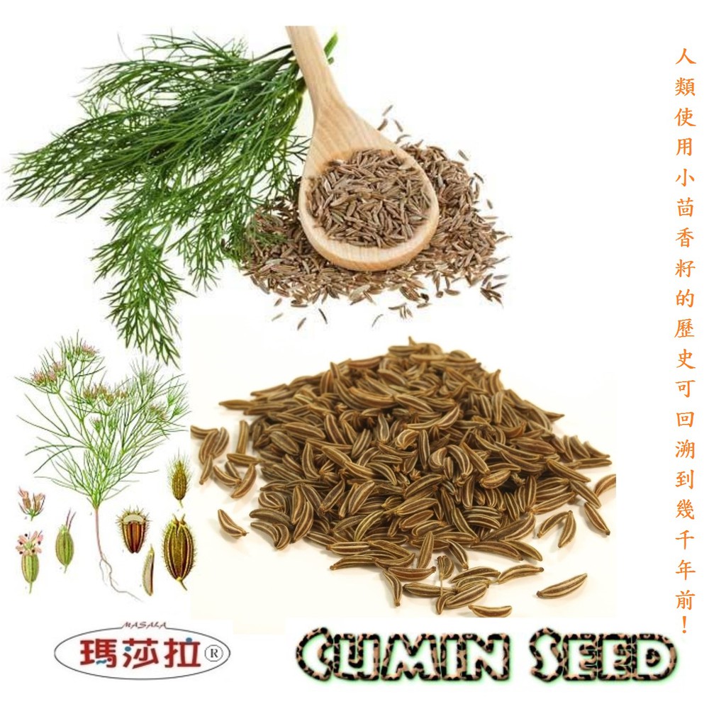 [瑪莎拉] 100％純天然小茴香籽 (孜然) {1 公斤/裝} Cumin Seed