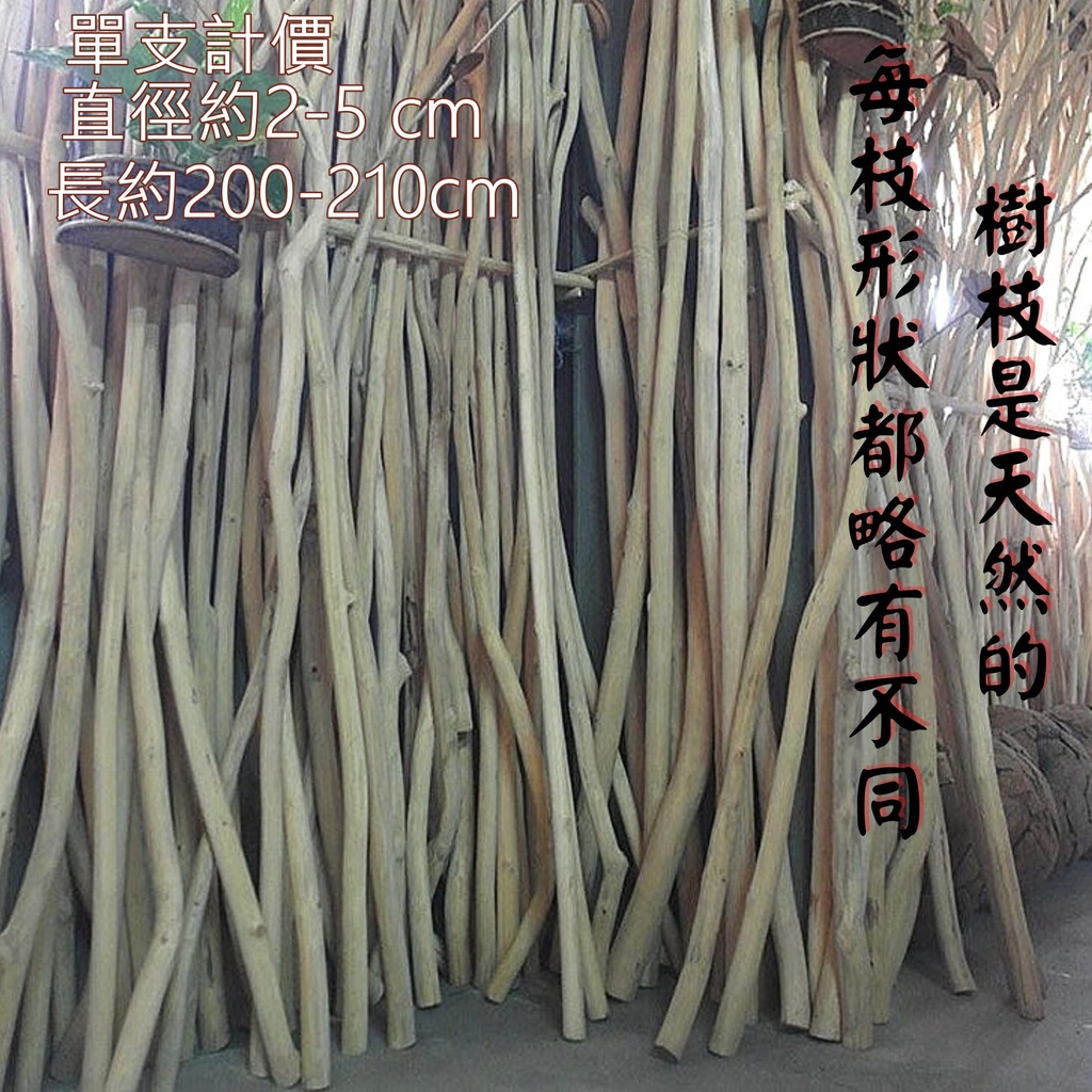 樹枝 整枝過長無法運送只能自取或對切寄出 裝潢樹枝柚木素材剝皮樹枝巴里島風裝飾海島風真樹枝服飾店衣架