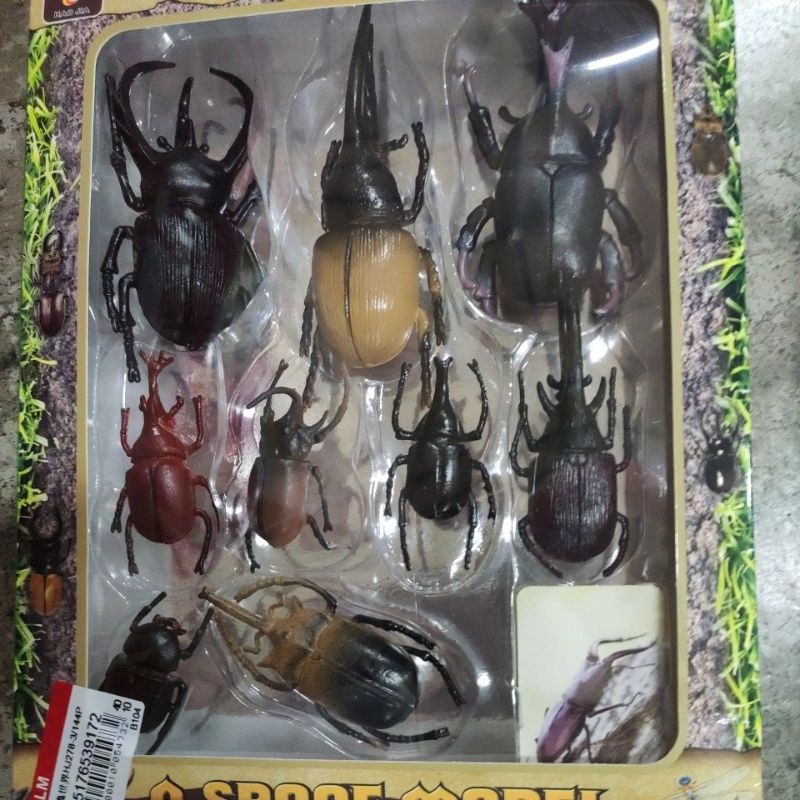 甲蟲世界甲蟲獨角仙公仔標本鍬形蟲玩具立體昆蟲甲蟲標本組 St安全玩具 蝦皮購物