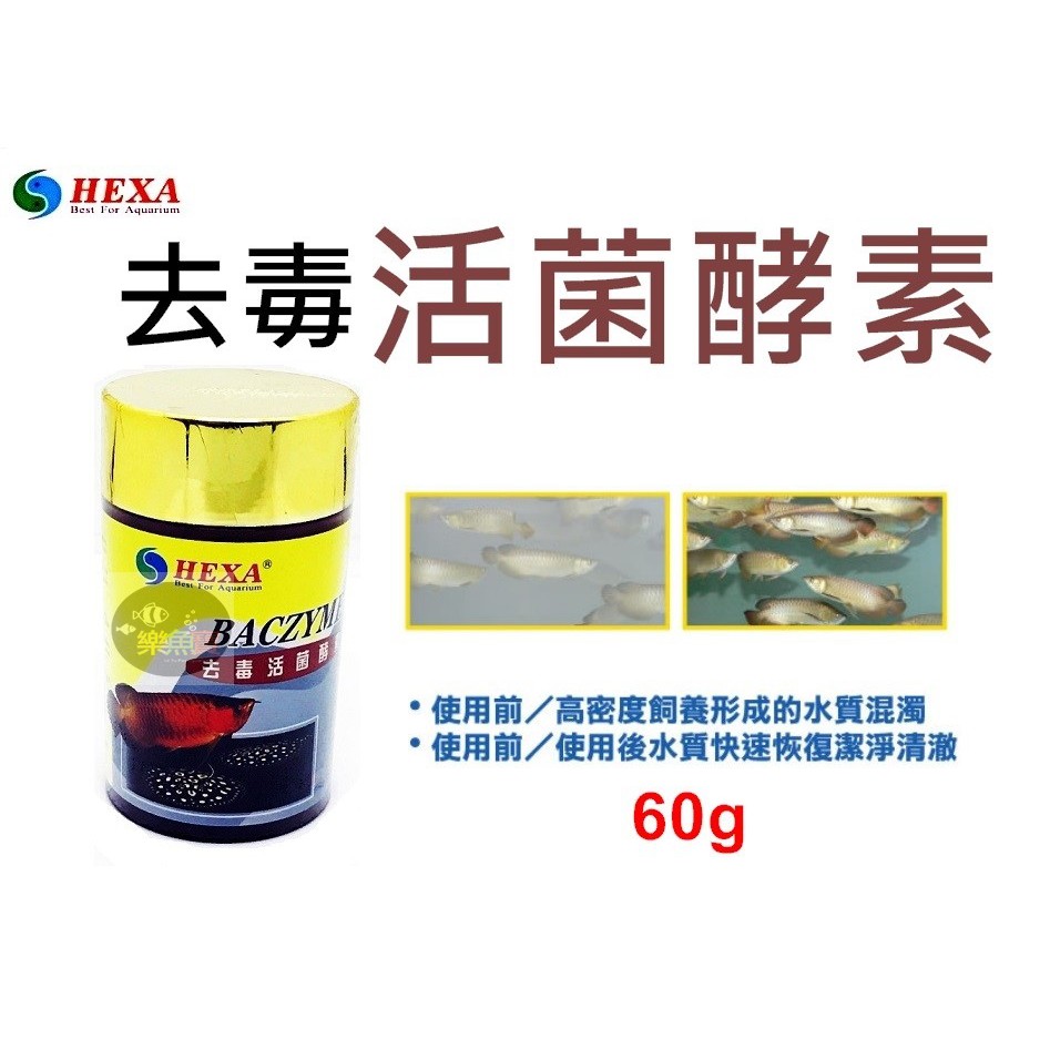 【樂魚寶】台灣 HEXA 海薩 - 去毒活菌酵素 60g 含數十種活性好氧、厭氧菌 快速淨化水質 水質處理 水質清澈