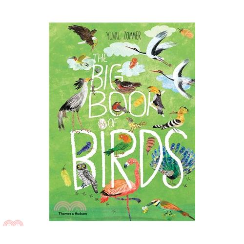 The Big Book of Birds