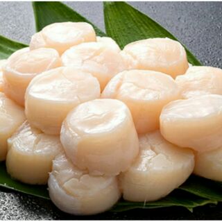 日本干貝 (生食級)1公斤 💳可刷卡 🎀玥來玥好吃🎀海誠水產