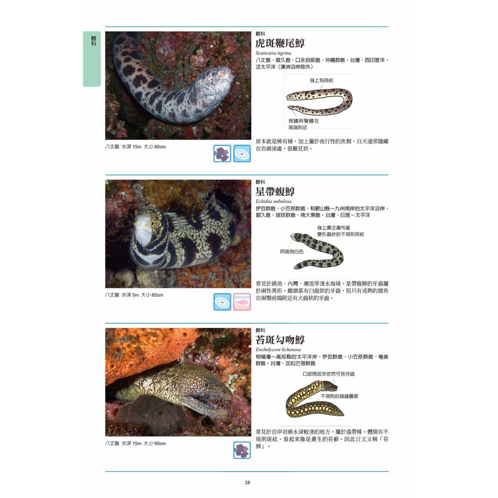 海水魚圖鑑 蝦皮購物