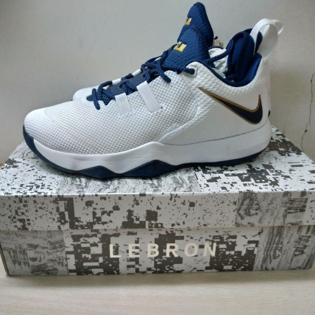 Nike Lebron Ambassador X