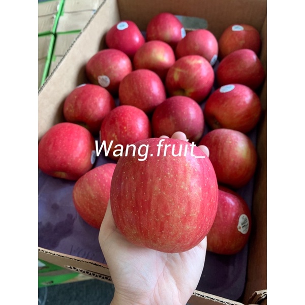 美國fuji蘋果 優惠推薦 2021年12月 蝦皮購物台灣
