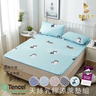 【BEST寢飾】天絲乳膠涼蓆墊 贈同款枕套 單人/雙人/加大 TENCEL 遊戲墊 瑜珈墊 野餐墊 可水洗