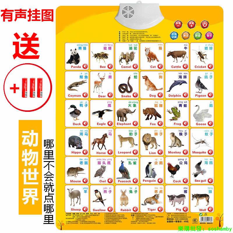 音大漢字有聲拼音拼讀卡片發音一年級教具兒童小學生全套字母專用 樂購批發 蝦皮購物