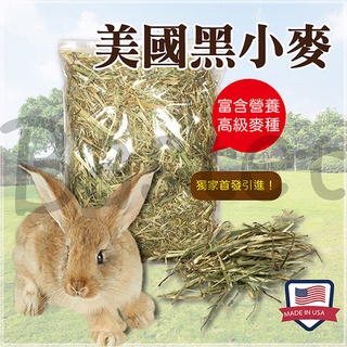 紫花苜蓿草兔子牧草新鮮天然兔子主食兔飼料寵物天竺鼠龍貓小動物無過篩 蝦皮購物