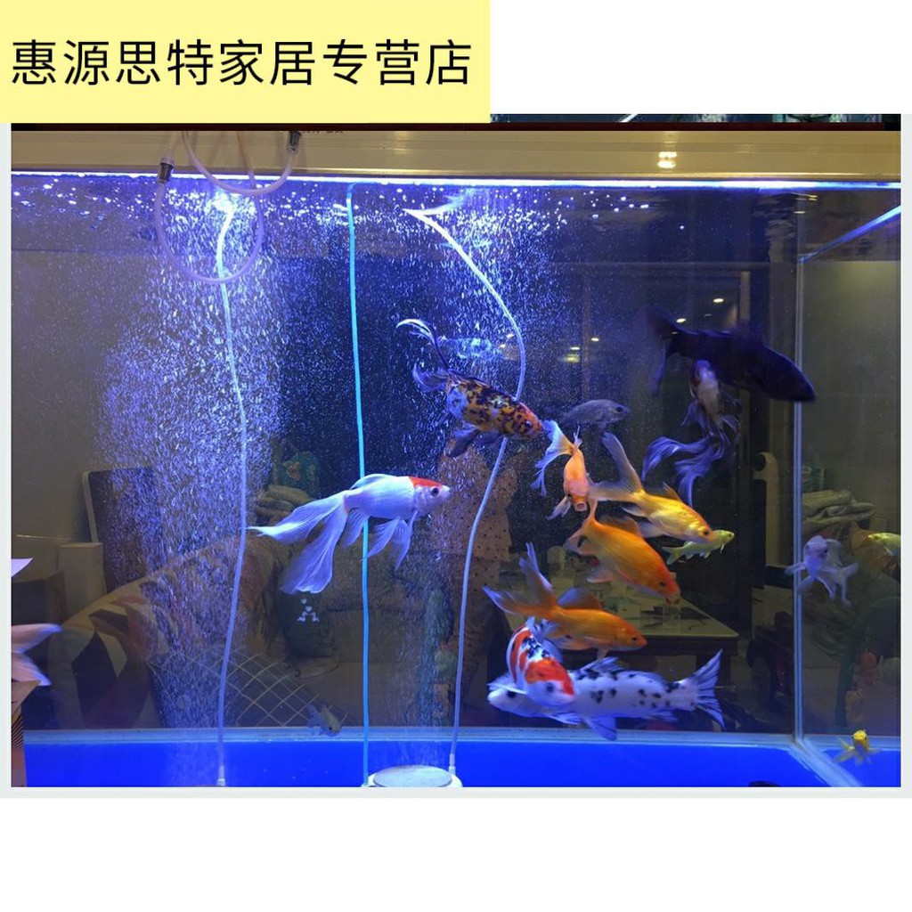 新品爆款led防水燈管t8冰柜冰箱魚缸水族水草燈1 5米1 8米大型七彩金龍魚夾燈 蝦皮購物