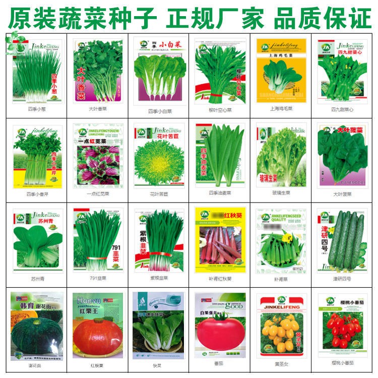 種子優購賣場 原裝蔬菜種子菜籽家庭園藝小院菜園四季種植蘿卜白菜黃瓜種子 蝦皮購物