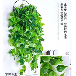 摩登時尚一派 仿真植物葉子壁掛花 模擬綠蘿 綠葉 吊蘭人造綠植 模擬黃金葛吊籃 綠植 壁掛綠蘿盆栽 長藤假花藤條 吊花