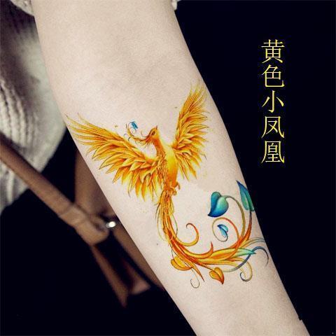 牡丹鳳凰 Ptt Dcard討論與高評價網拍商品 21年8月 飛比價格