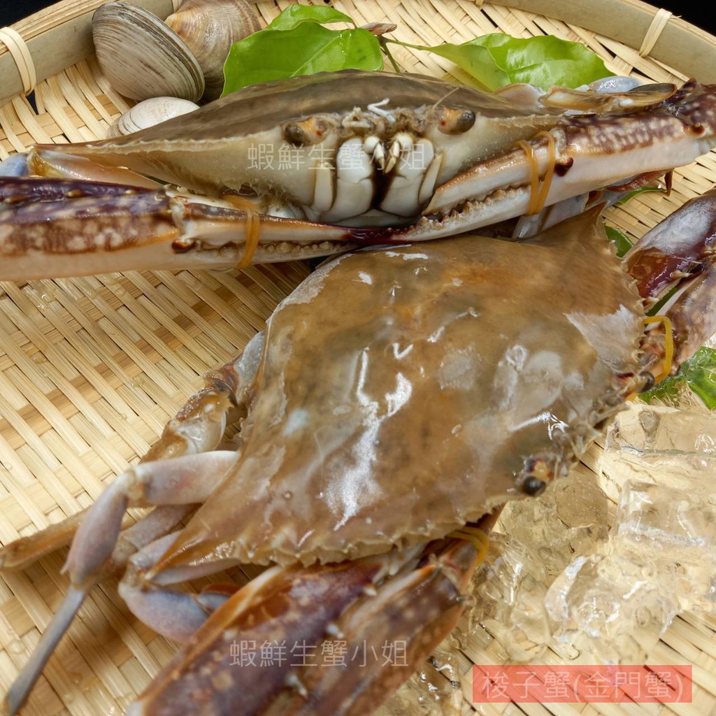 梭子蟹的價格推薦 21年11月 比價比個夠biggo