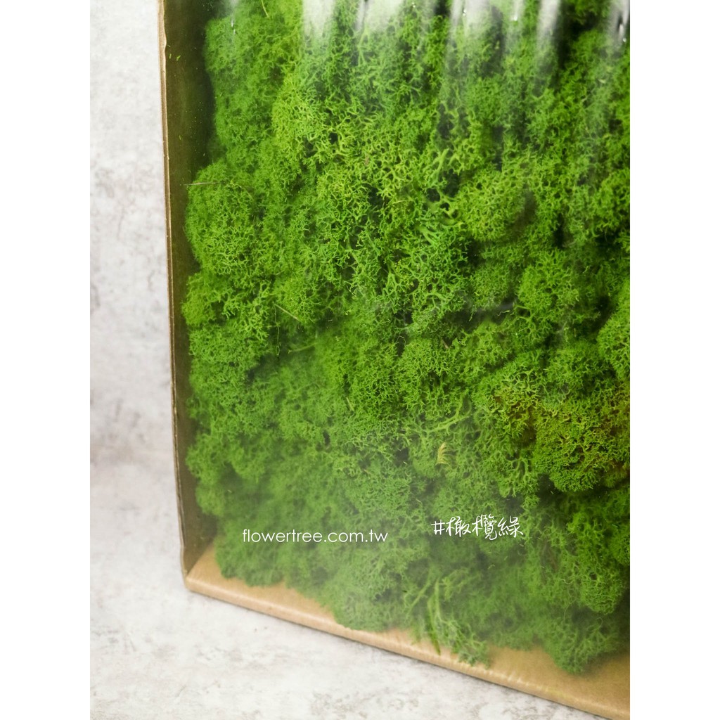 芳馨花園 現貨 永生苔蘚moss馴鹿苔癬moss 40g裝 永生花乾燥花鋪底玻璃罩花藝設計等 蝦皮購物