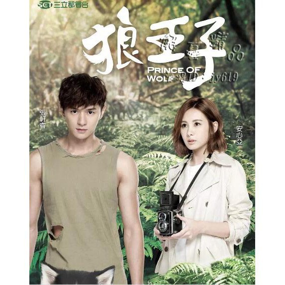 全新 台劇 狼王子 Dvd 國語中字 張軒睿安心亞 5碟全新盒裝 蝦皮購物