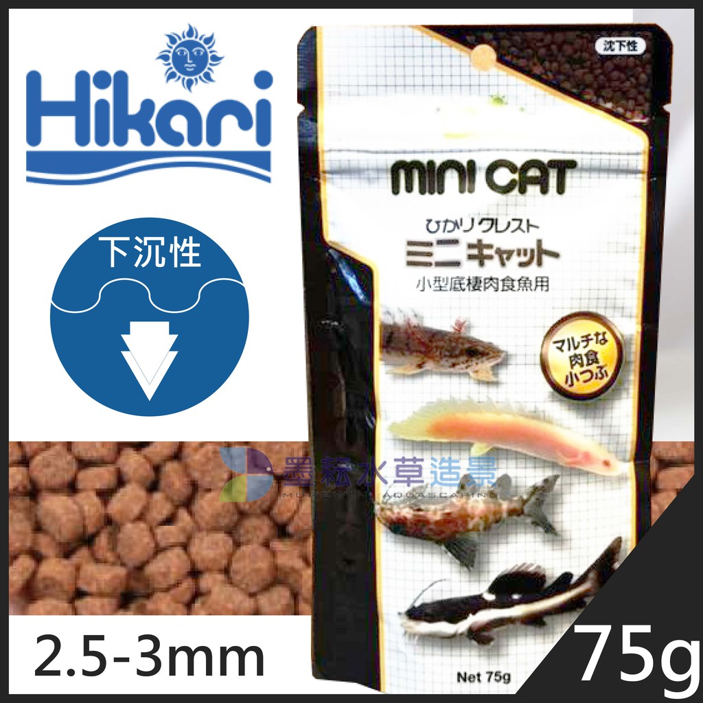 @墨耘@Hikari 高夠力【小型底棲肉食魚專用飼料(褐) 75g 小粒】下沉型 異型 肉食飼料 鼠魚 異型