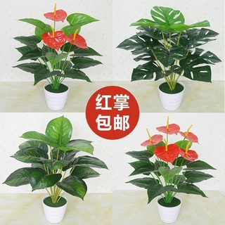 摩登時尚一派 模擬綠植 紅掌綠蘿 假花 客廳 室內外裝飾植物 落地塑膠假盆栽景擺設件