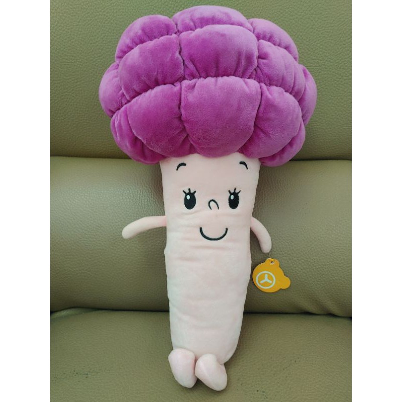 紫色花椰菜 Ptt Dcard討論與高評價網拍商品 21年9月 飛比價格