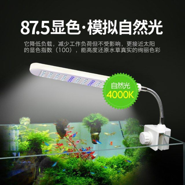 魚缸夾燈水族箱草缸海水led照明燈迷你烏龜缸燈led全光譜水草架燈 蝦皮購物