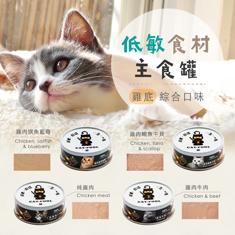 【現貨】 Catpool 貓侍 低敏食材天然 主食罐 貓罐 80g  貓咪罐頭 貓罐頭 腎貓
