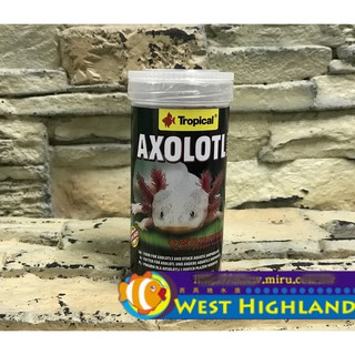 【西高地水族坊】Tropical德比克 AXOLOTL STICKS六角恐龍 角蛙 底棲魚長條飼料250g