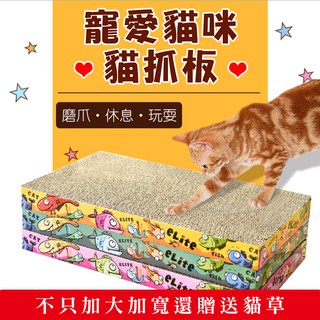台灣現貨寄出 寵愛貓咪加大加寬貓抓板 ( 附贈貓草 )