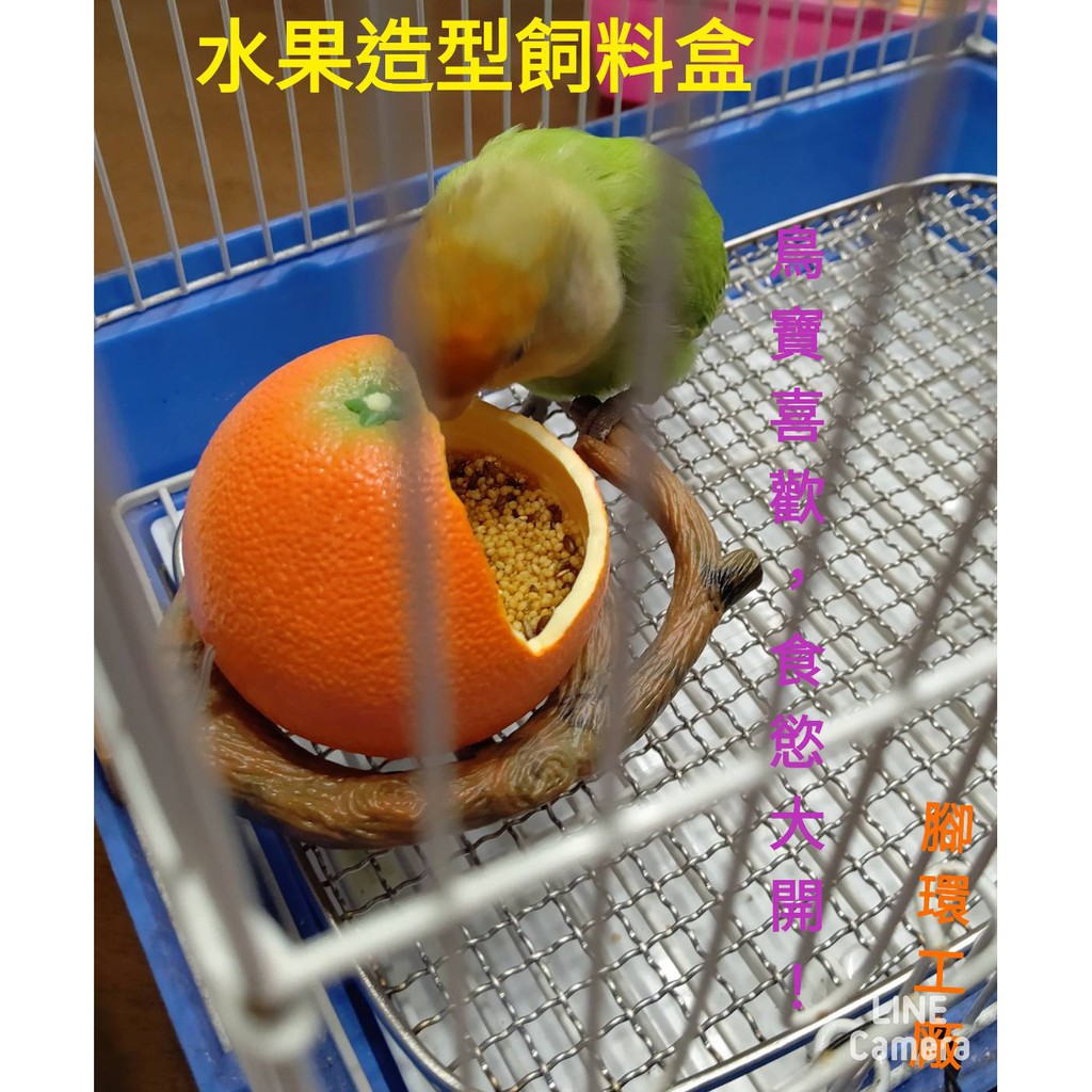可愛鳥寶飼料盒~水果造型:石榴、橘子、玉米，任選其一   @$120元