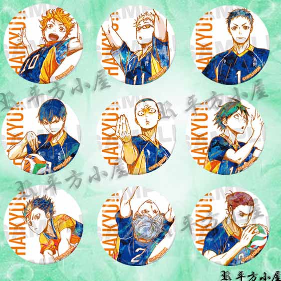 排球少年 徽章 胸章 日向翔陽 影山飛雄 菅原孝支 西谷夕 月島螢 田中龍之介 澤村大地 東峰旭 動漫周邊商品