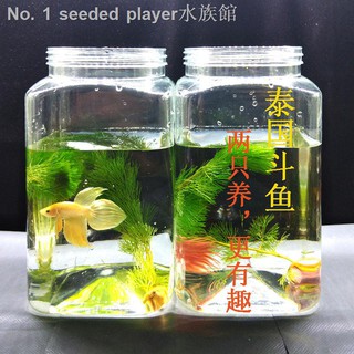 鬥魚罐 優惠推薦 21年6月 蝦皮購物台灣