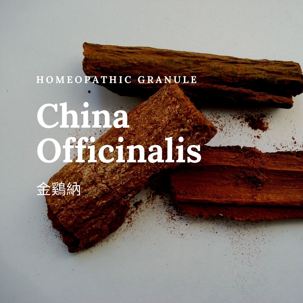 順勢糖球【金雞納●China Officinalis】Homeopathic Granule 連結處 太陽神經叢 腰背