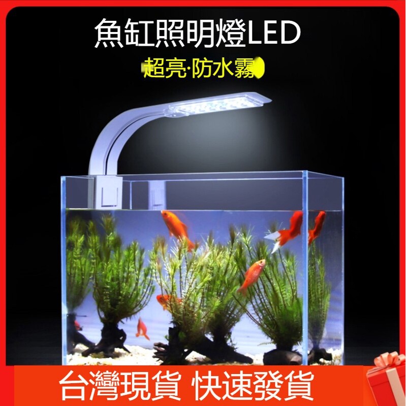 台灣現貨魚缸照明燈led小夾燈防水節能夜燈錦鯉龍魚水草專用魚燈小型頂燈魚缸內飾魚缸燈魚缸暖管 蝦皮購物