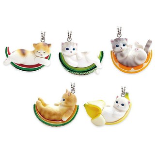 扭蛋 轉蛋 Qualia 日版 水果貓咪 吊飾 貓咪 水果 擺件 全新 果物ねこ 貓咪吊飾 躺在水果上的貓