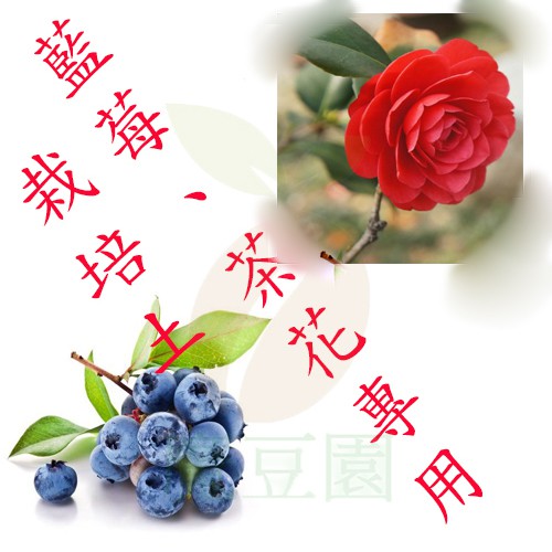 全店限價免運 藍莓茶花杜鵑專用栽培土介質 10公升 成份 芬蘭酸性泥炭土 水洗椰塊 竹炭 發泡煉石 魔豆園 蝦皮購物