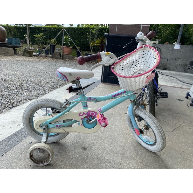 捷安特二手兒童腳踏車