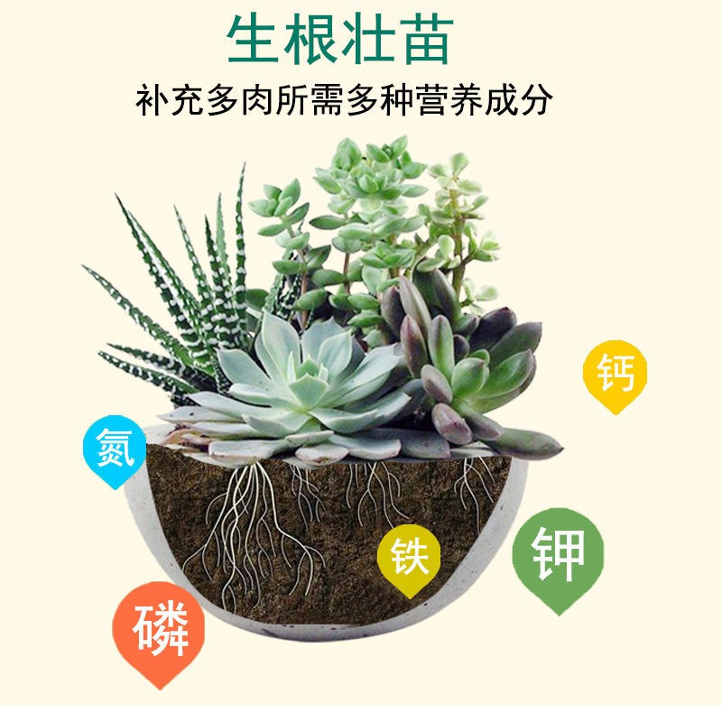 滿減促銷多肉植物通用營養液防徒長生根增色營養土花肥料盆栽有機液體肥料 蝦皮購物