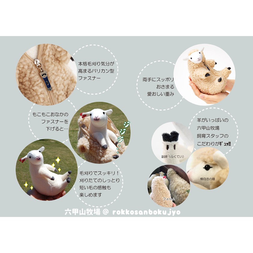 預購 請聊聊喔 You More 六甲山牧場合作推出日本官方正版商品小羊剃毛娃娃玩偶剃羊毛具教育功能無耳標 蝦皮購物