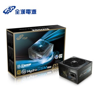 FSP 全漢 Hydro GSM PRO 650W 金牌 電源供應器(HGS-650M) 現貨 廠商直送