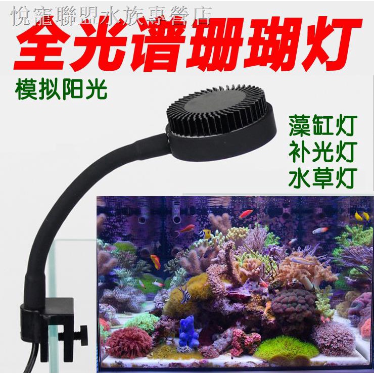 現貨熱銷 小型魚缸燈led燈水草燈藻缸燈珊瑚燈照明水族箱燈微缸迷你補光燈 蝦皮購物