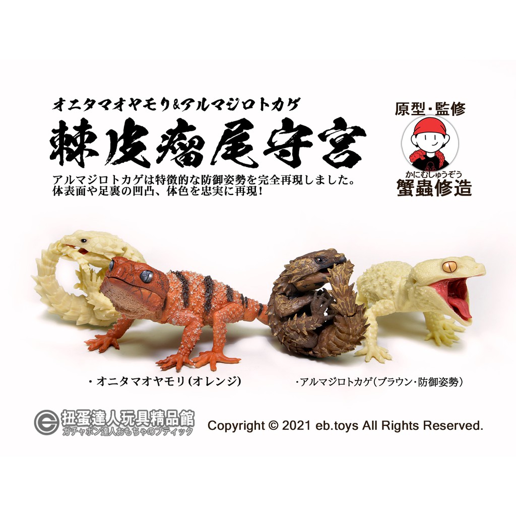 楽天カード分割 1 1 オ二タマオヤモリ アルマジロトカゲ 全4種セット