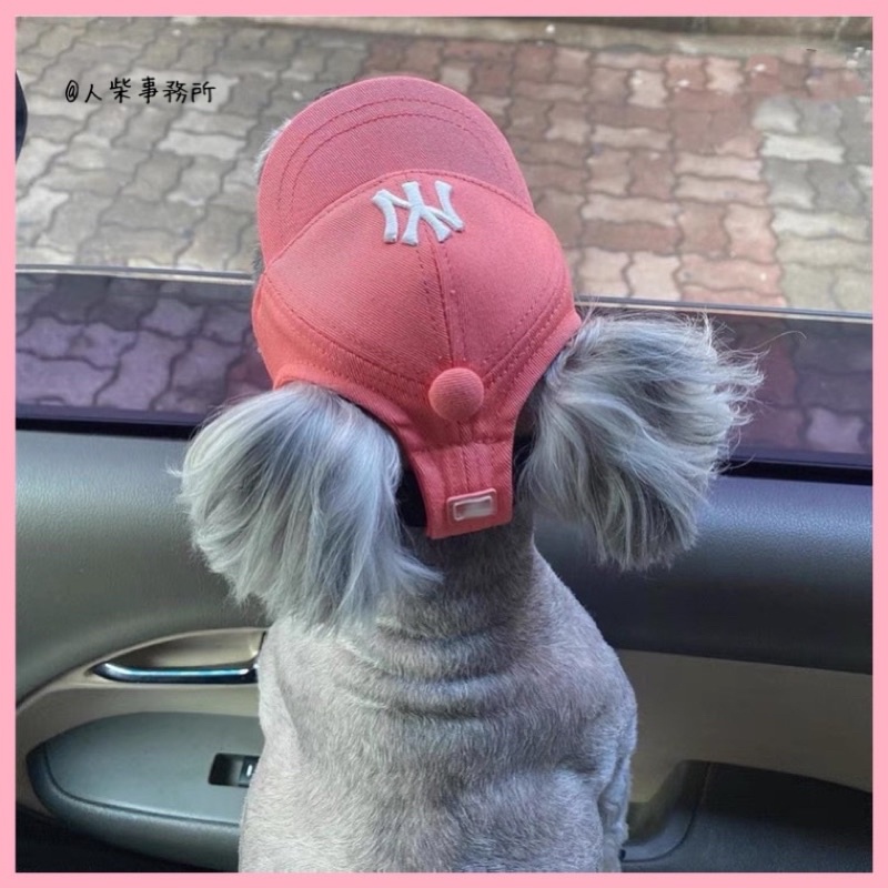 Ny寵物狗狗帽子小型犬 泰迪 比熊遮陽帽露耳朵小狗鴨舌棒球帽 蝦皮購物