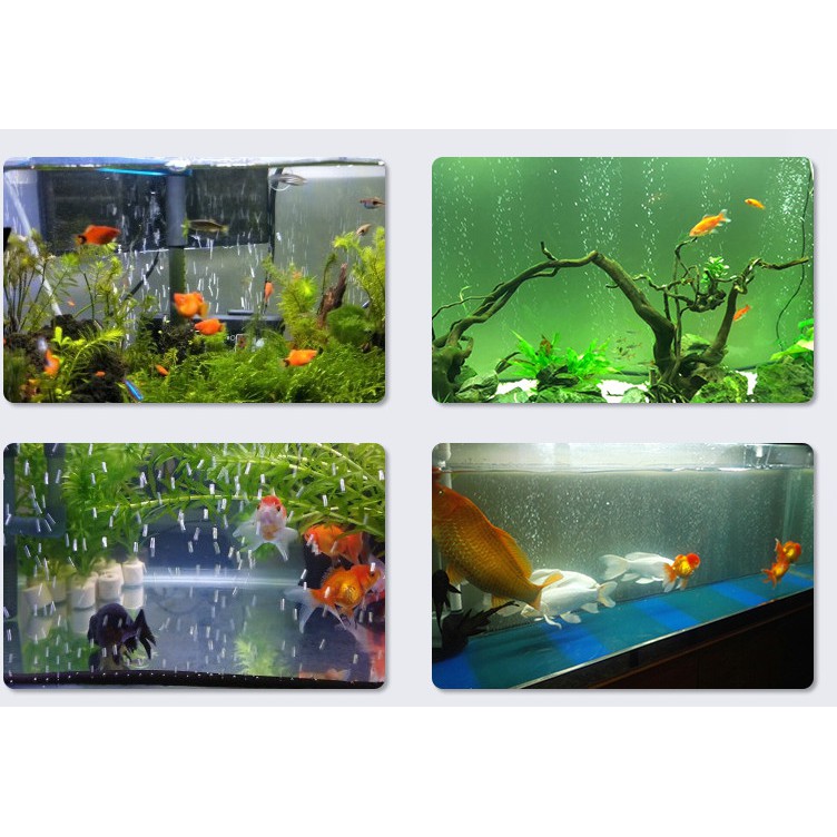 魚缸氣泡條器泡軟條必須接打氣機調節閥風管可代替氣泡石如溶氧器細化器增氧效果 蝦皮購物