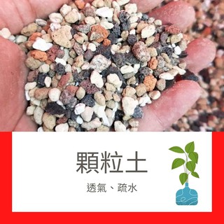 透氣顆粒土 優惠推薦 22年10月 蝦皮購物台灣