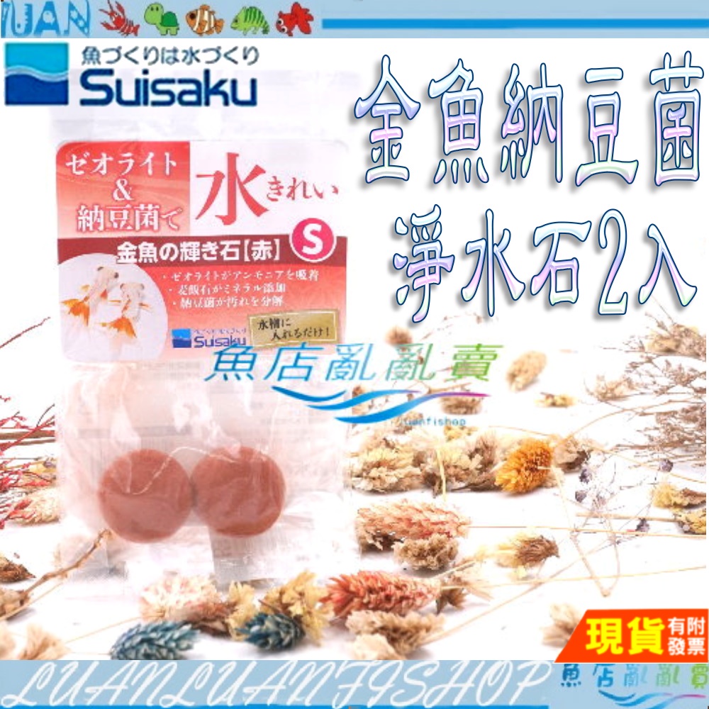 【魚店亂亂賣】SUISAKU 水作 金魚淨水石含納豆菌(S)2入(延長換水時間)金魚納豆菌淨水納豆石F-9716日本